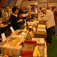 Festilivres 2011 (5)