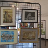 Expo de Gurgy Juin 2019