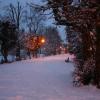 neige-18-12-09-2.jpg